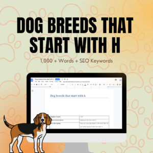 Dog Breeds That Start With H