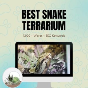 Best Snake Terrarium