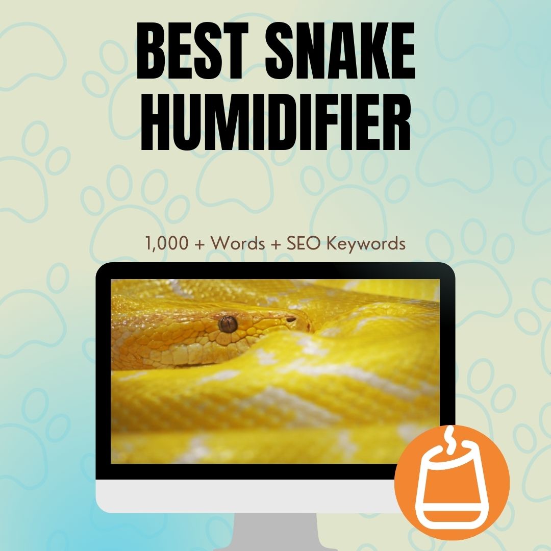 Best Snake Humidifier