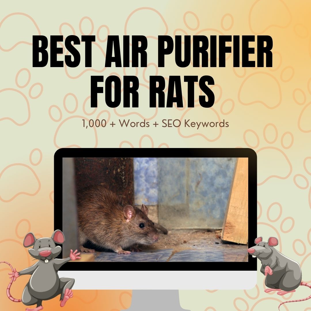 Best Air Purifier For Rats