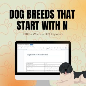 Dog Breeds That Start With N