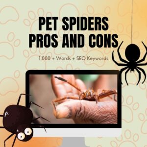 Pet Spiders Pros and Cons