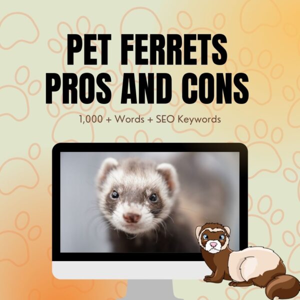 Pet Ferrets Pros and Cons