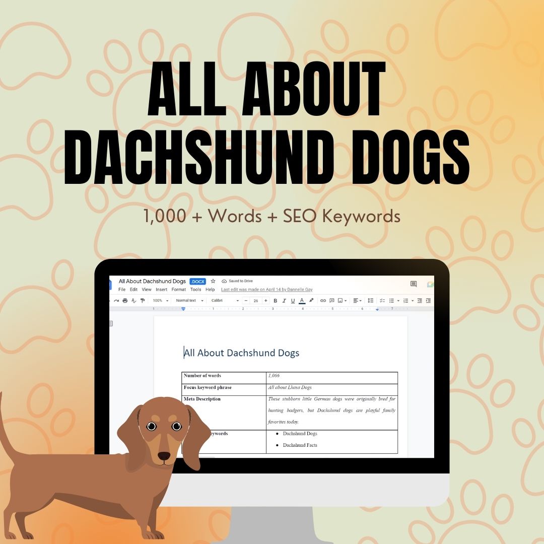 All About Dachshund Dogs