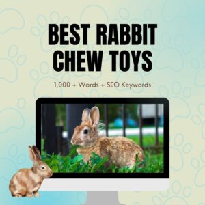 Best Rabbit Chew Toys