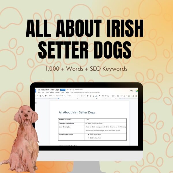 All About Irish Setter Dogs