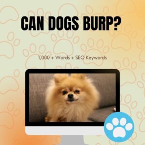 Can dogs burp?