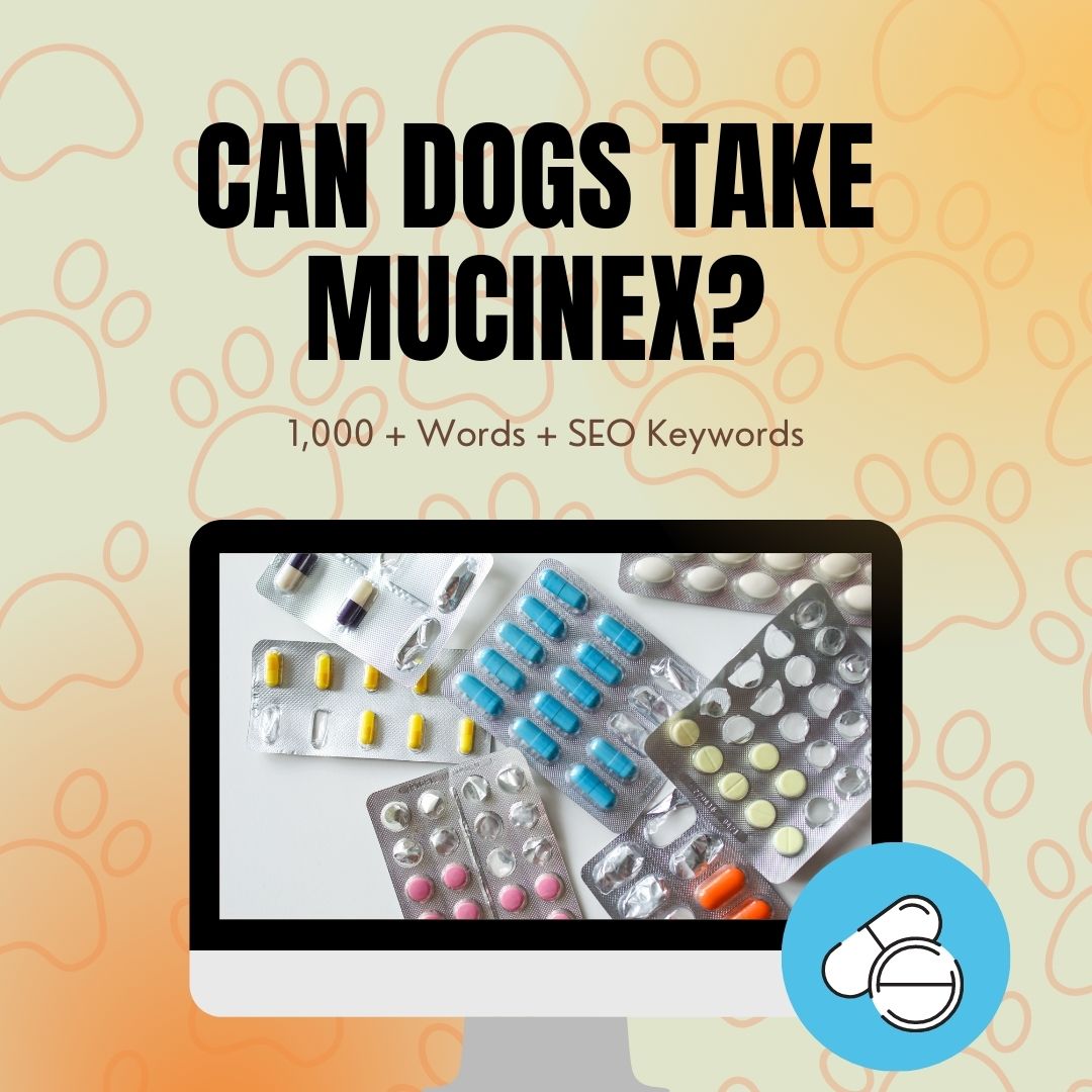 Can Dogs Take Mucinex?