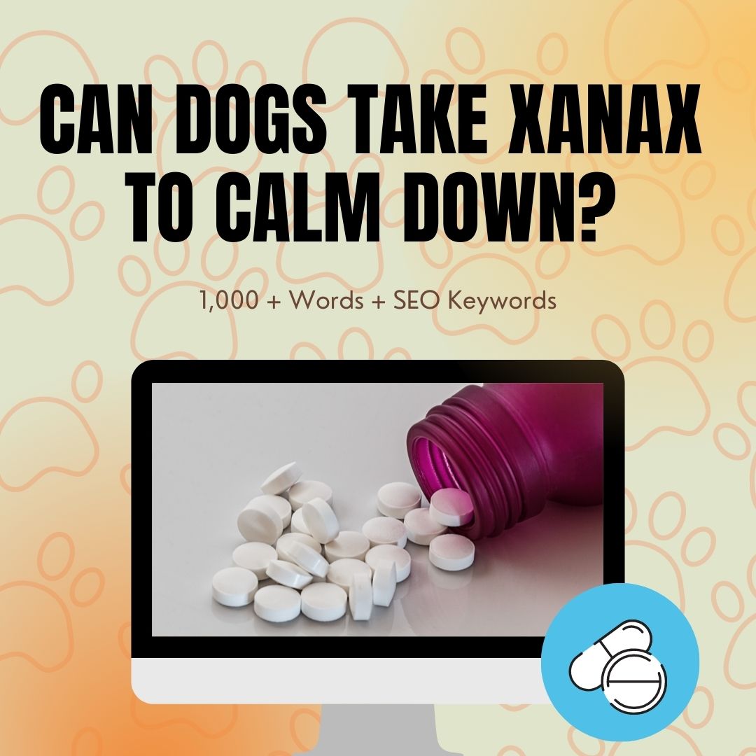 Can Dogs Take Xanax To Calm Down?