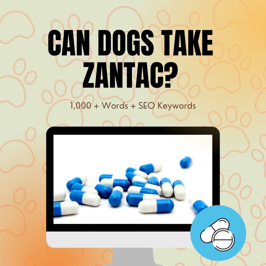 Can Dogs Take Zantac?