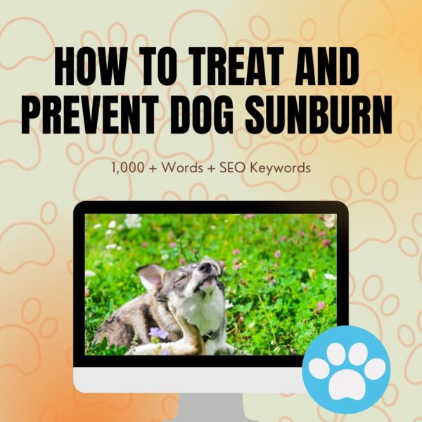 How To Treat And Prevent Dog Sunburn