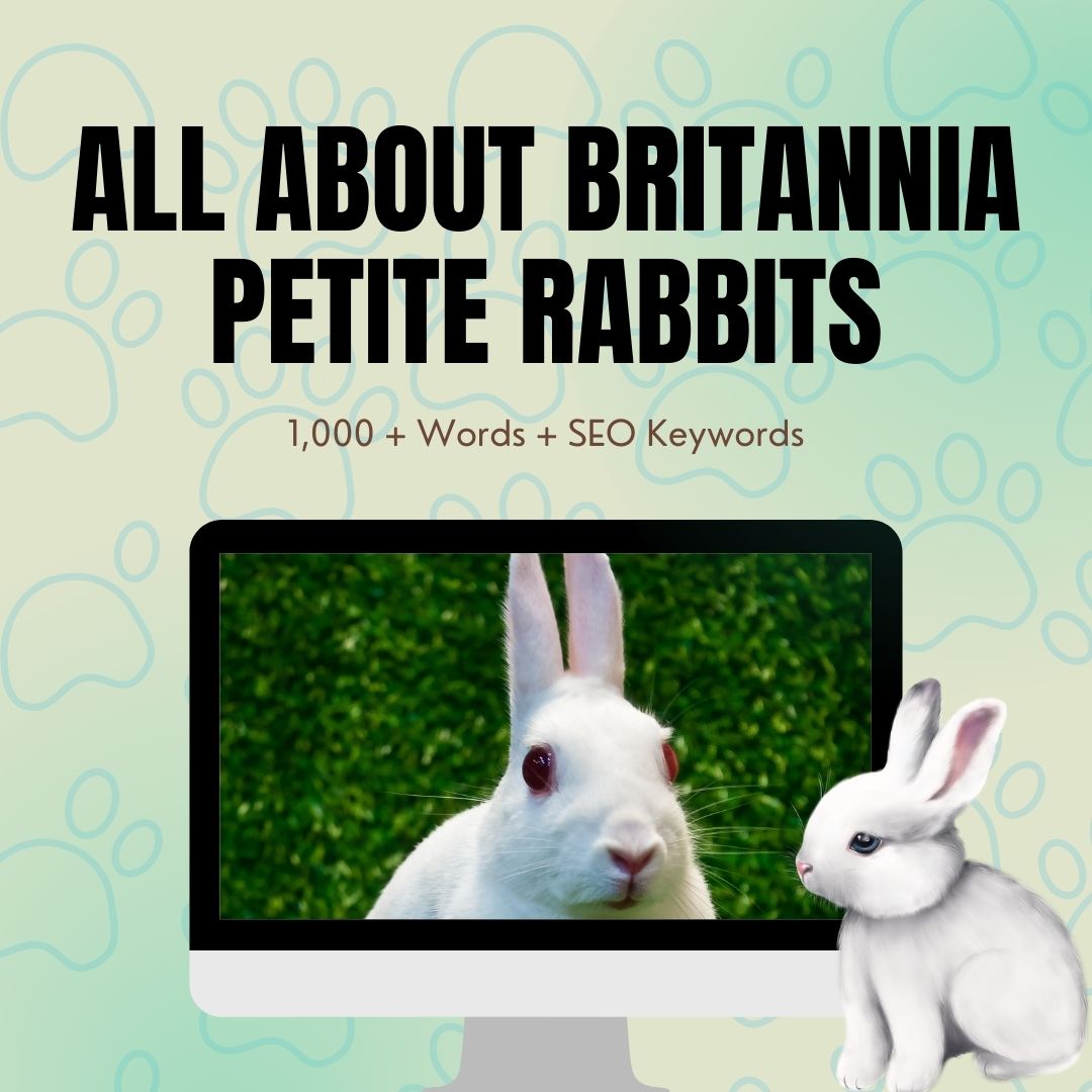 All About Britannia Petite Rabbits