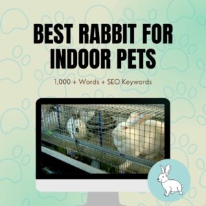 Best Rabbit For Indoor Pets