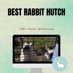 Best Rabbit Hutch