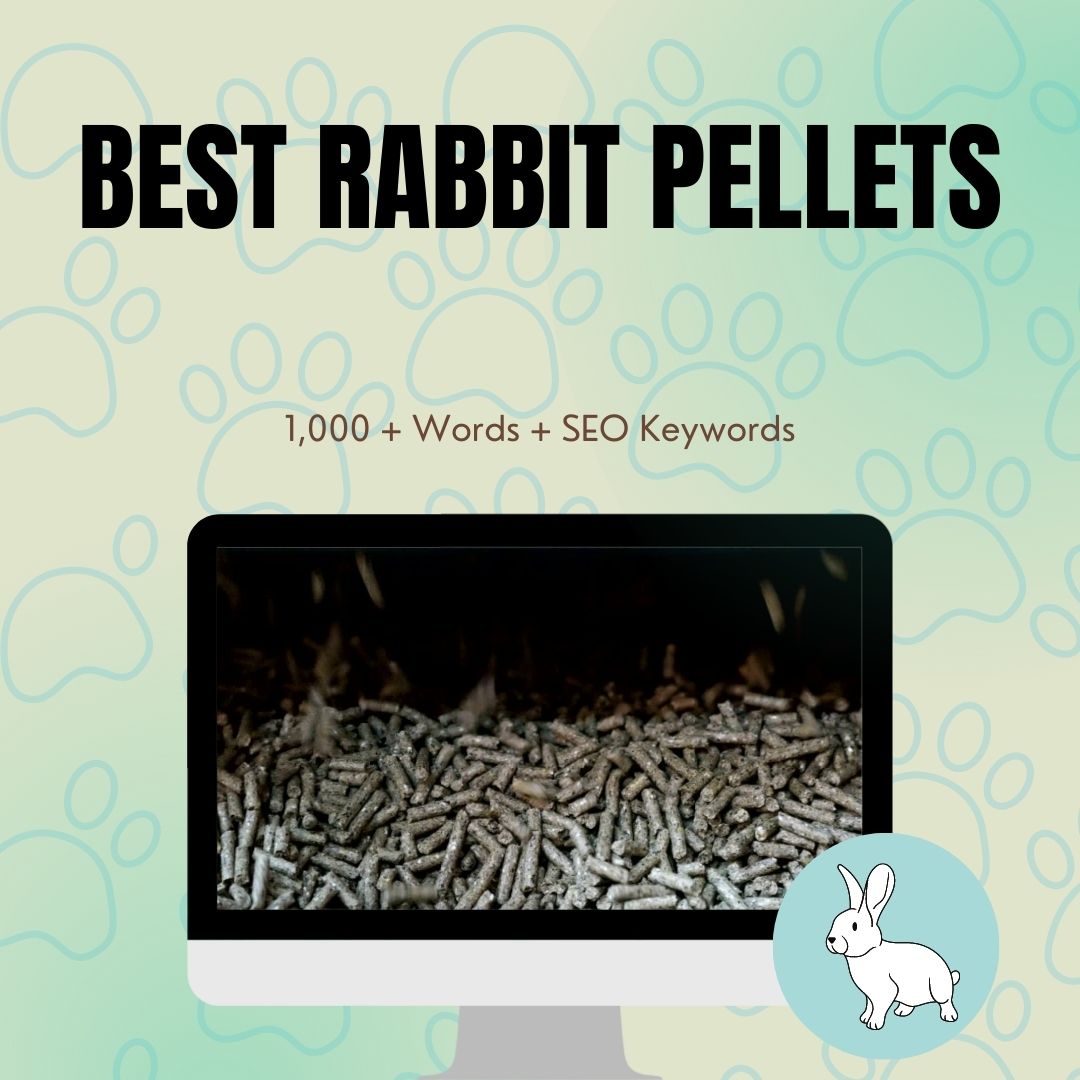 Best Rabbit Pellets