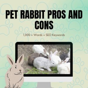 Pet Rabbit Pros and Cons
