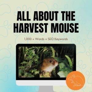 All About The Harvest Mouse