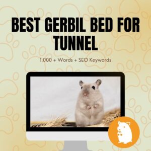 Best Gerbil Bed For Tunnel