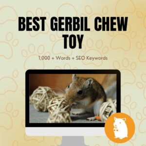 Best Gerbil Chew Toy