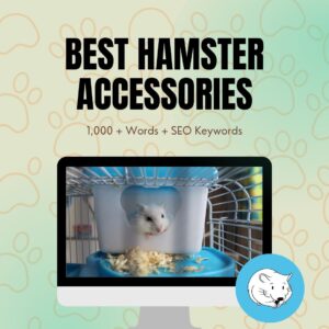 Best Hamster Accessories