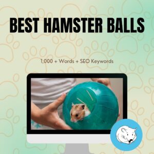 Best Hamster Balls