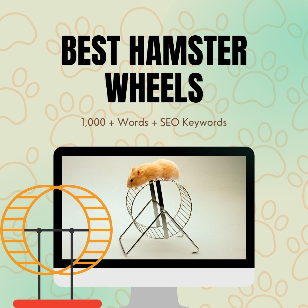 Best Hamster Wheels