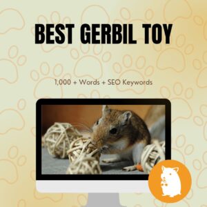 Best Gerbil Toy