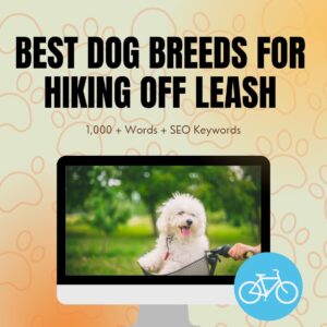 Best Dog Breeds For Hiking Off Leash