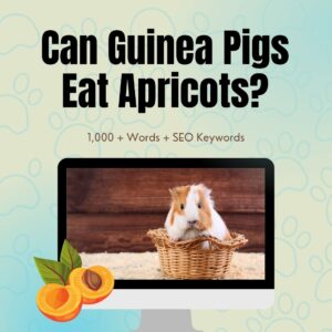 Can Guinea Pigs Eat Apricots?