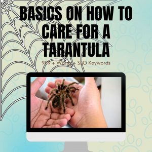 Basic Care of a Tarantula