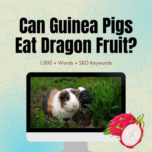 Can Guinea Pigs Eat Dragon Fruit
