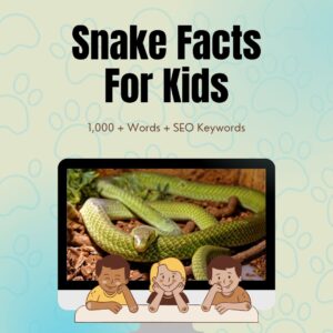 Snake Facts For Kids