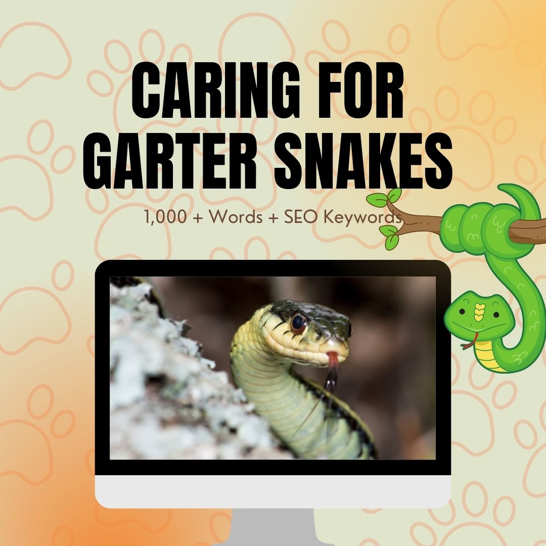 Caring For Garter Snakes