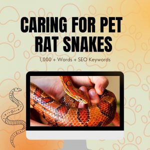 Caring For Pet Rat Snakes