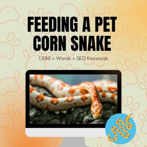 Feeding A Pet Corn Snake
