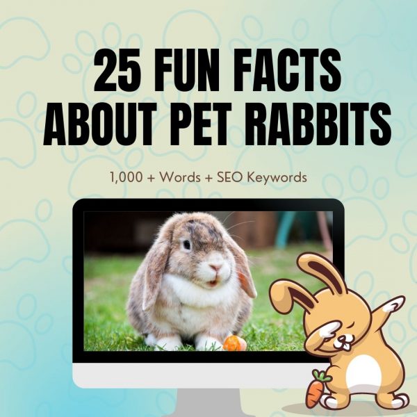 25 Fun Facts About Pet Rabbits