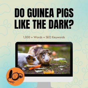 do Guinea Pigs Like The Dark?