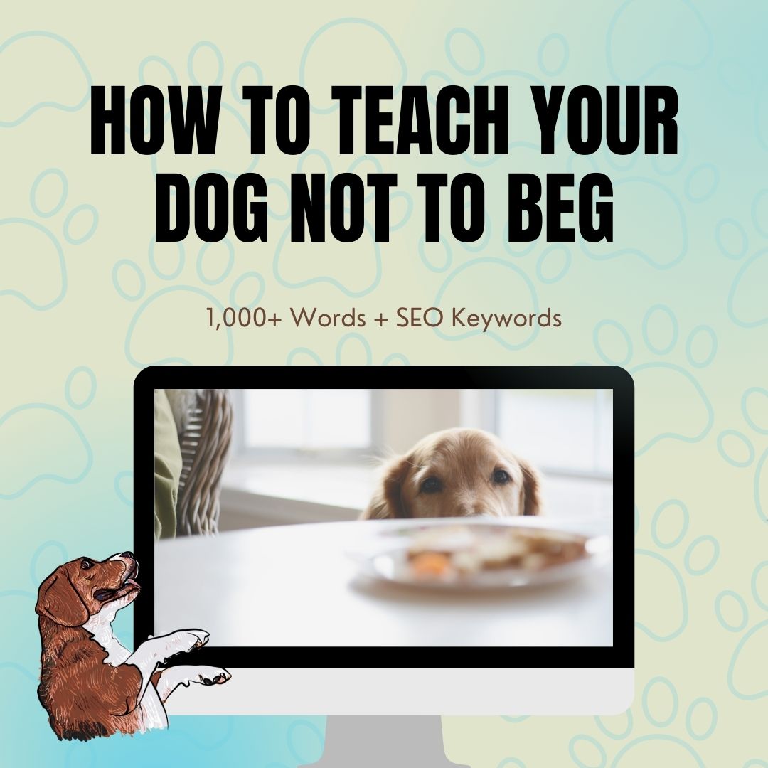 How To Teach Your Dog Not To Beg