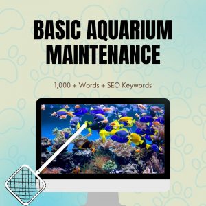 Basic Aquarium Maintenance