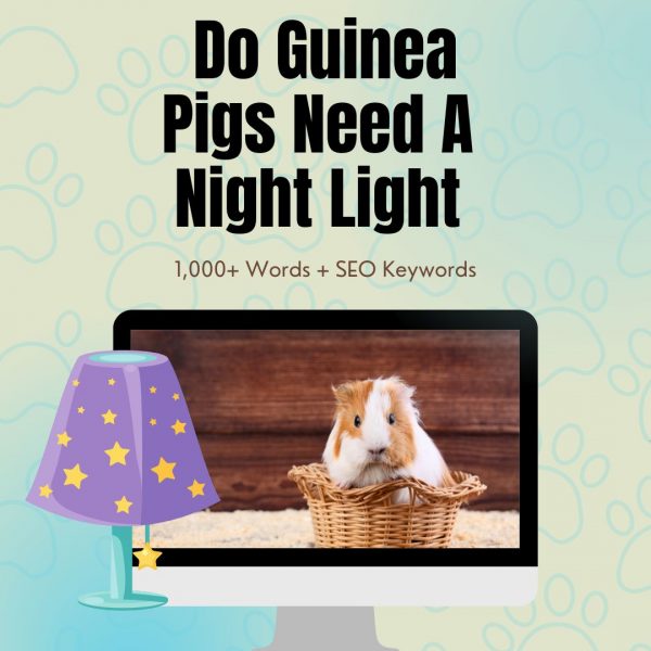 Do Guinea Pigs Need A Night Light