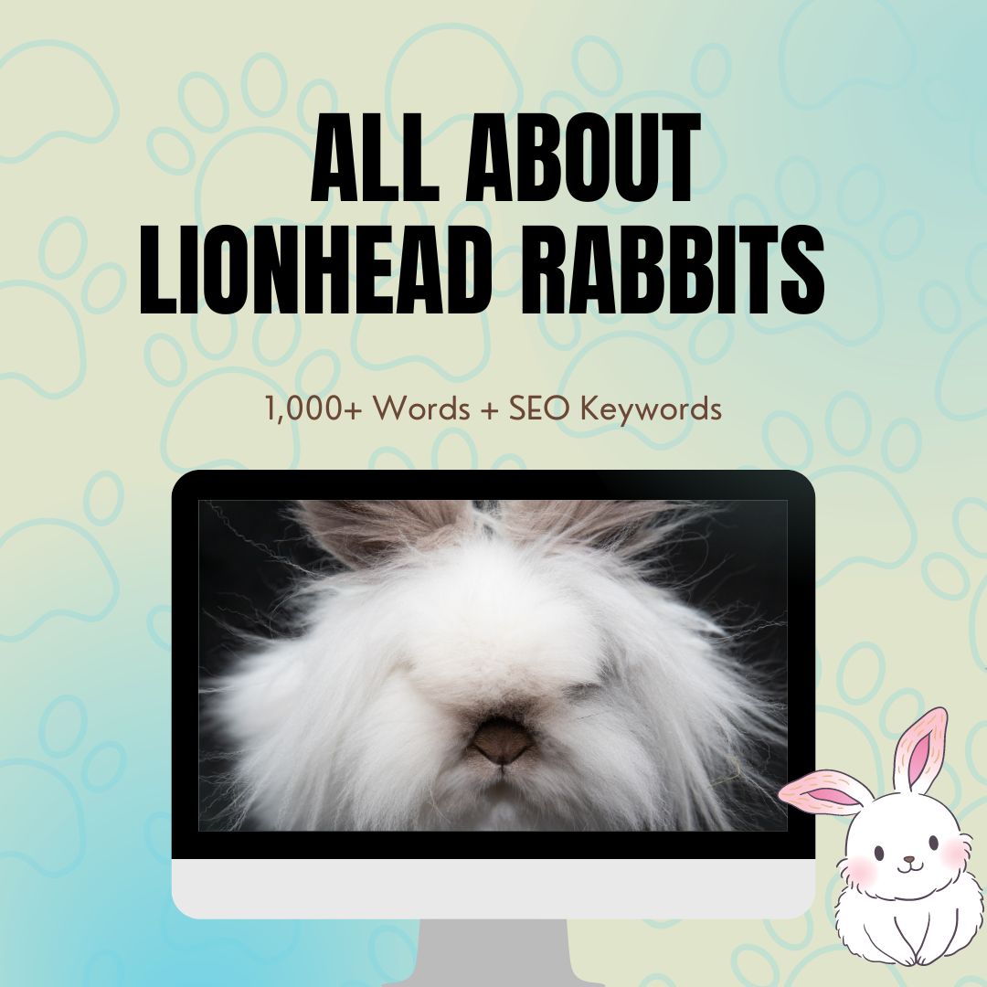 All About Lionhead Rabbits