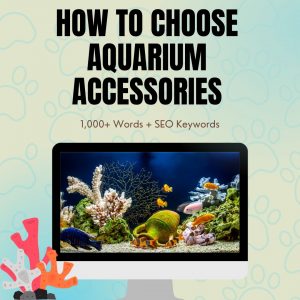 How To Choose Aquarium Accessories