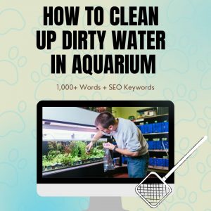 How To Clean Up Dirty Water In Aquarium