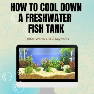How To Cool Down A Freshwater Fish Tank